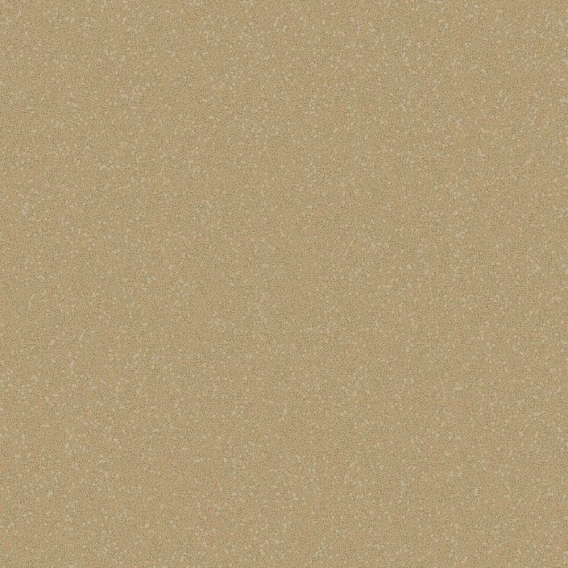 2231603