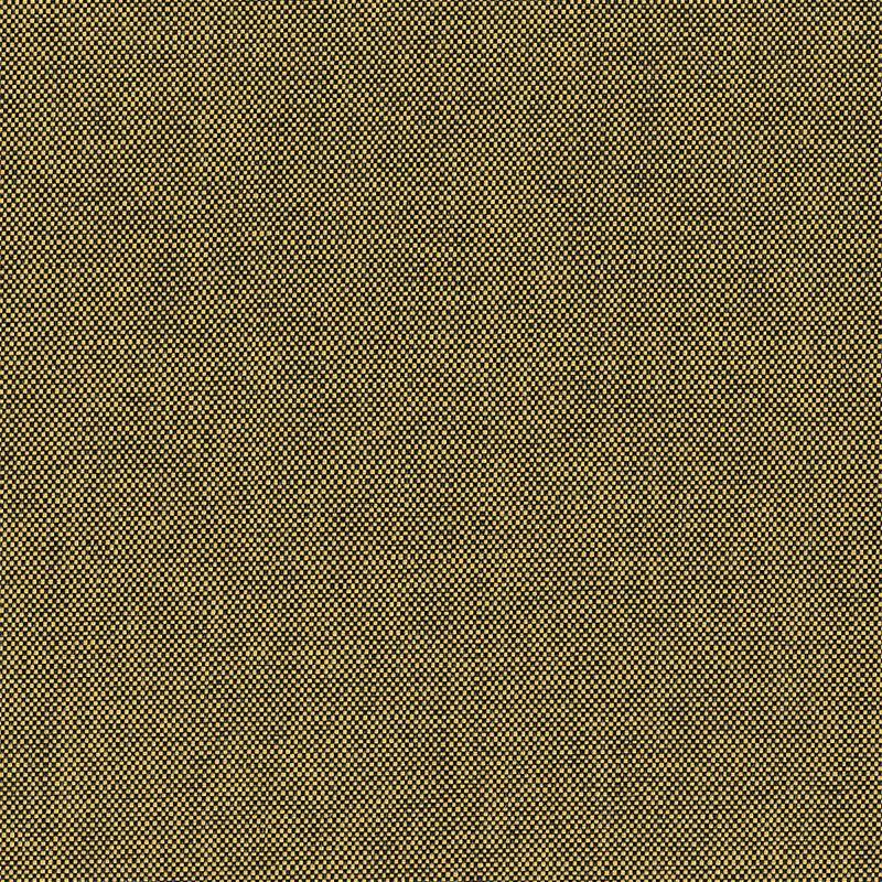 HED2029
