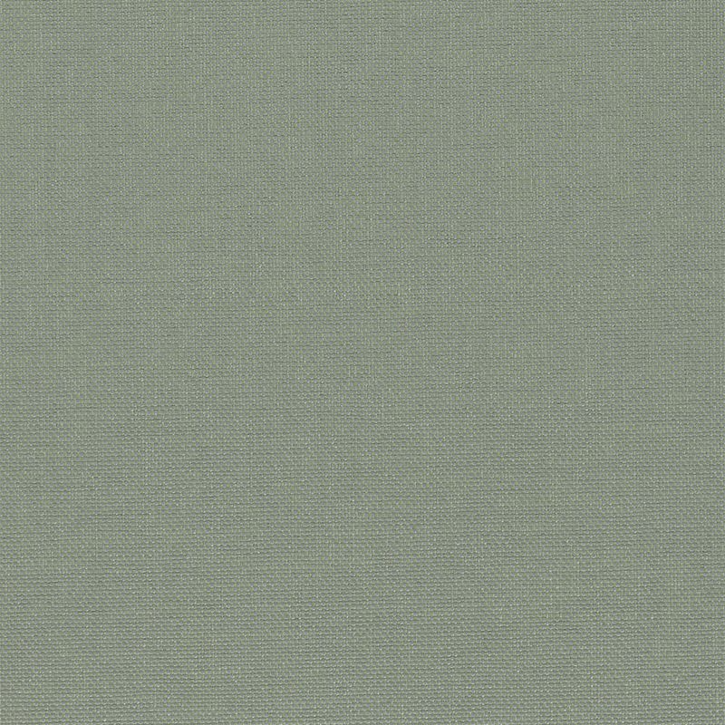HED2036