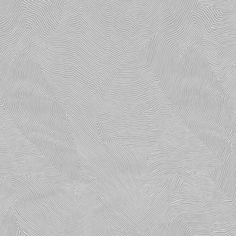 TH9919