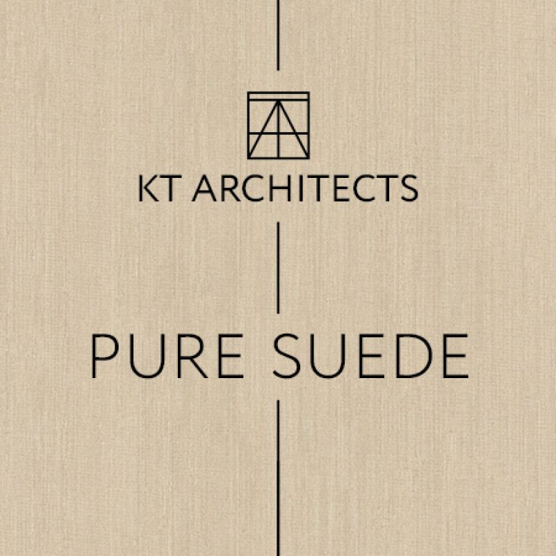 pure suede_cvr_small