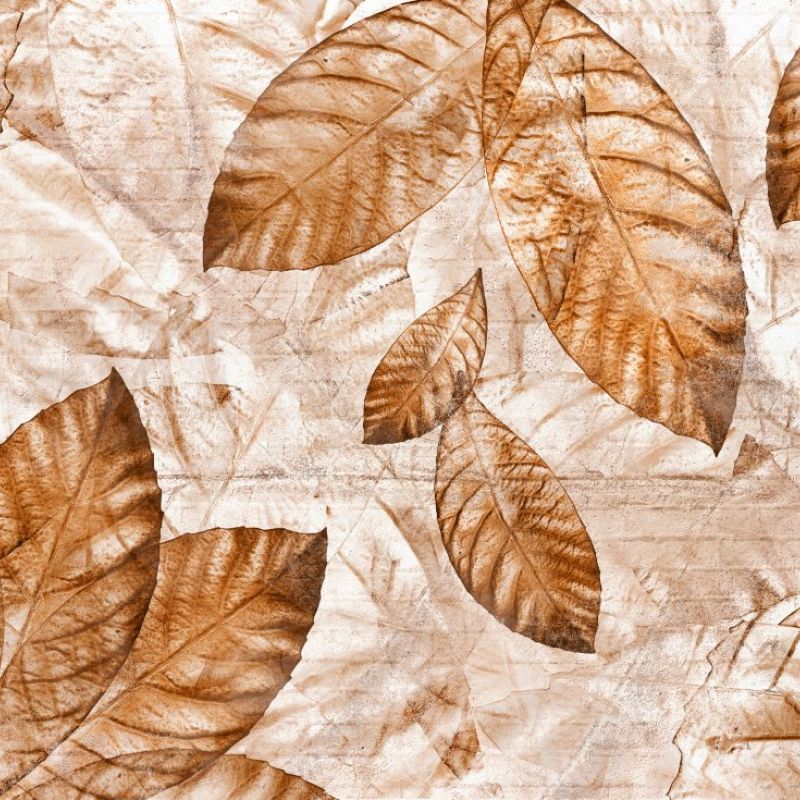 05C