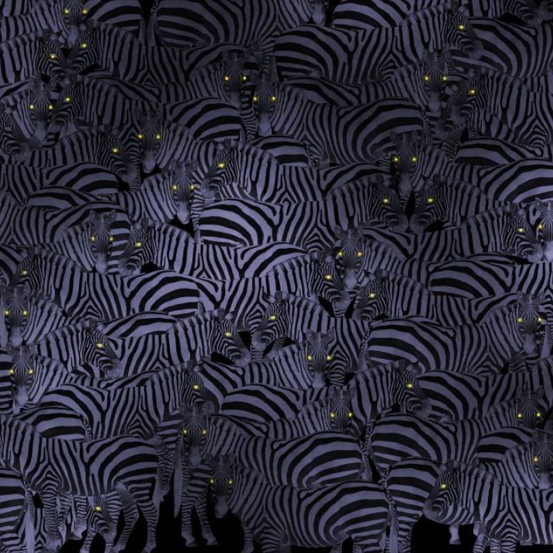 106